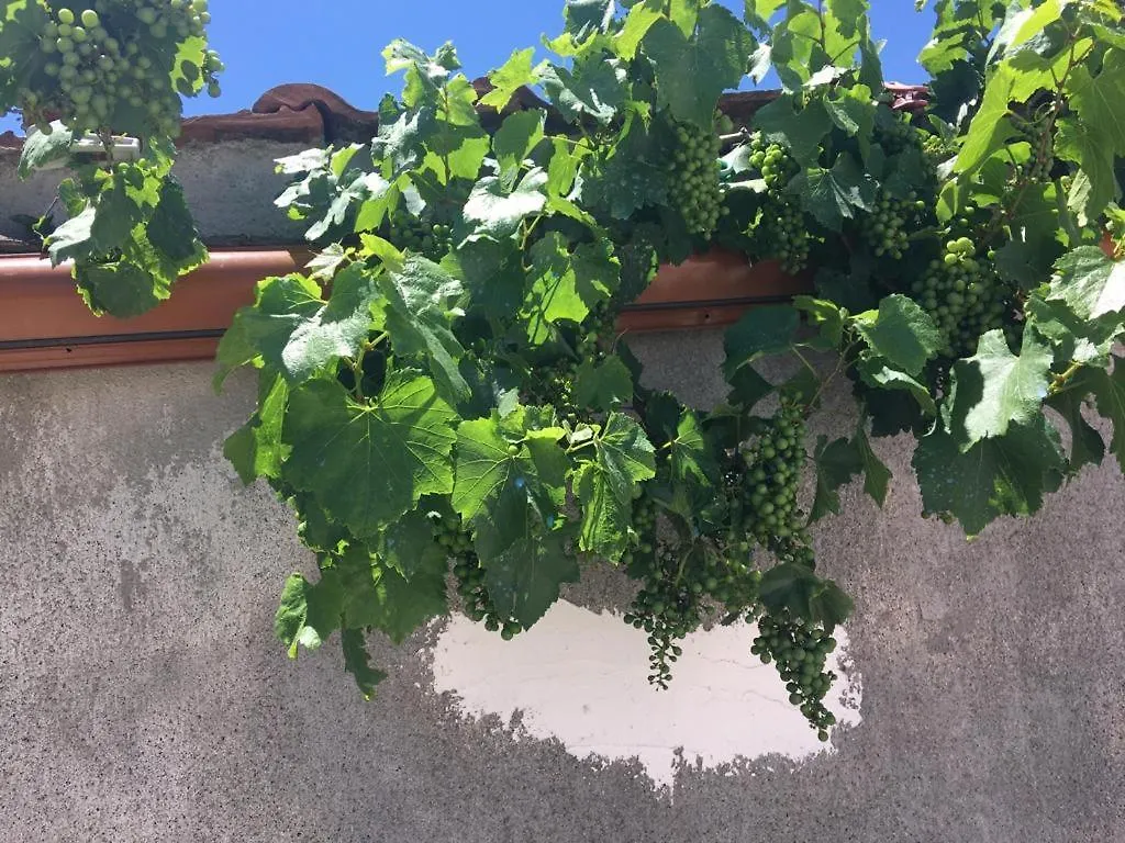 Appartamento Casa di Lalota Pogradec